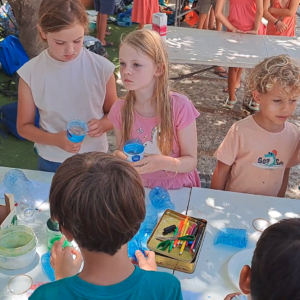 International Summer Camp - Day