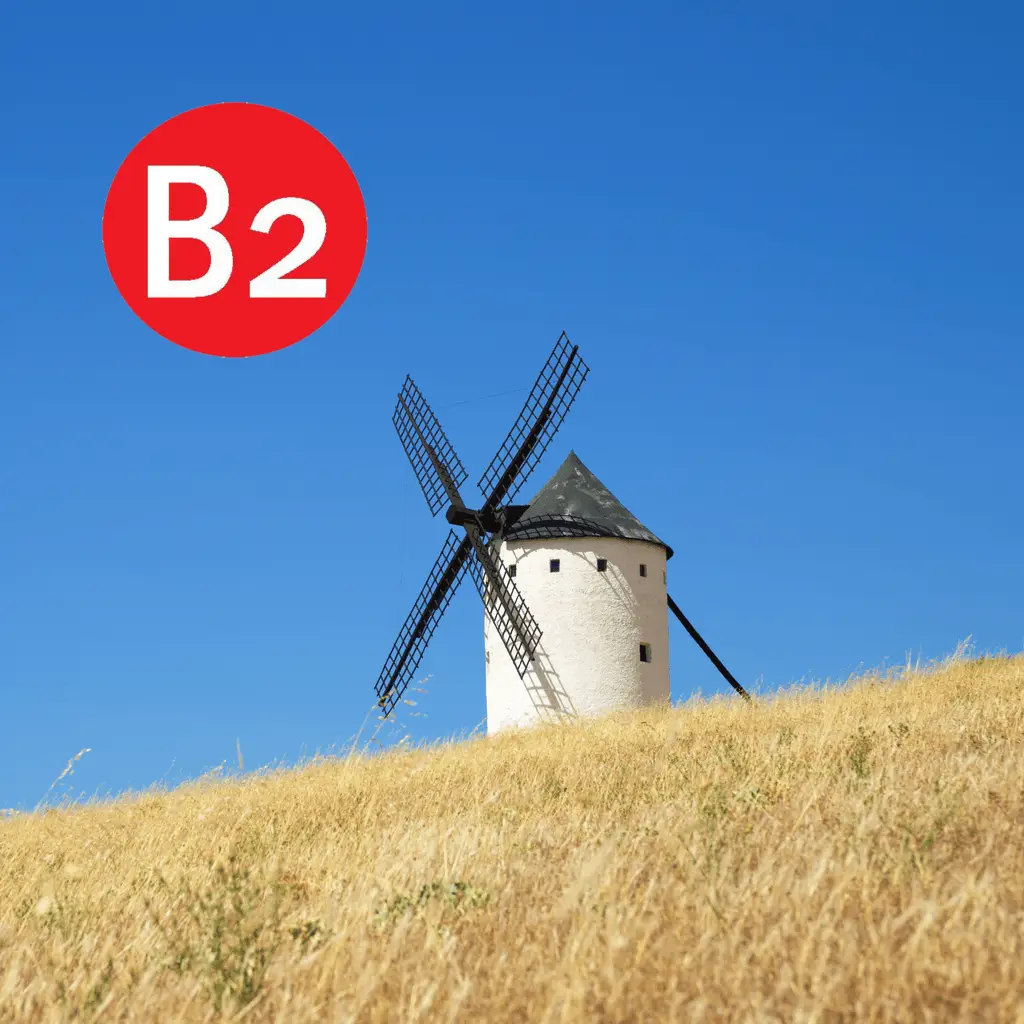 Quijotesco